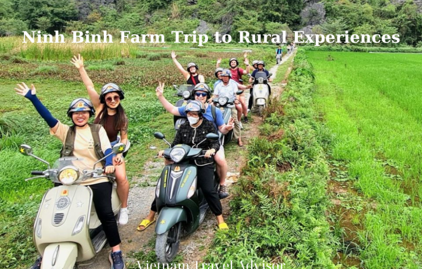 Ninh Binh Farm Trip to Rural Experiences