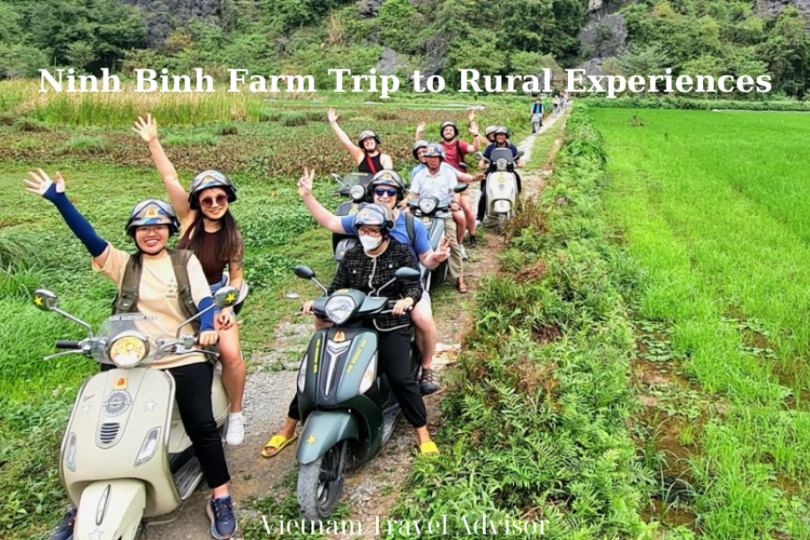 Ninh Binh Farm Trip To Rural Experiences