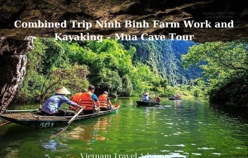 Combined Trip Ninh Binh Farm Work and Kayaking Mua Cave Tour