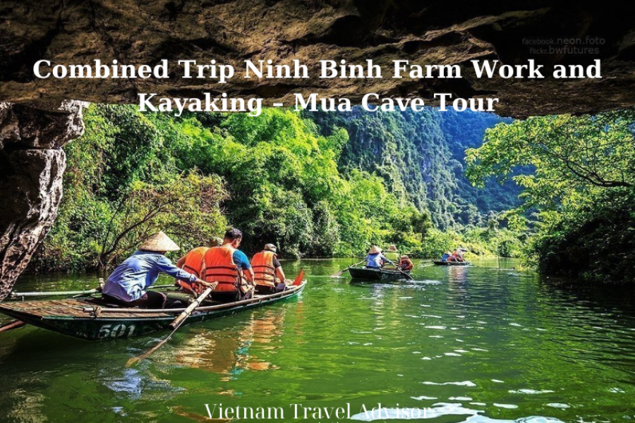 Combined Trip Ninh Binh Farm Work and Kayaking Mua Cave Tour