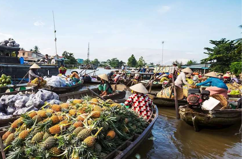 Day 3: Can Tho – Cai Rang Floating Market – Ho Chi Minh City (B, L)