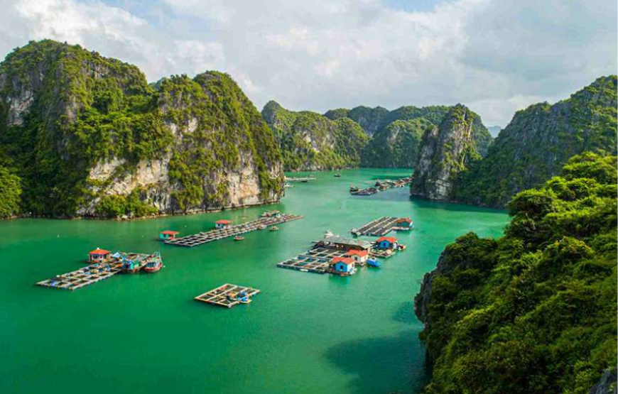 Halong Bay Day Tour 6 Hour Cruise