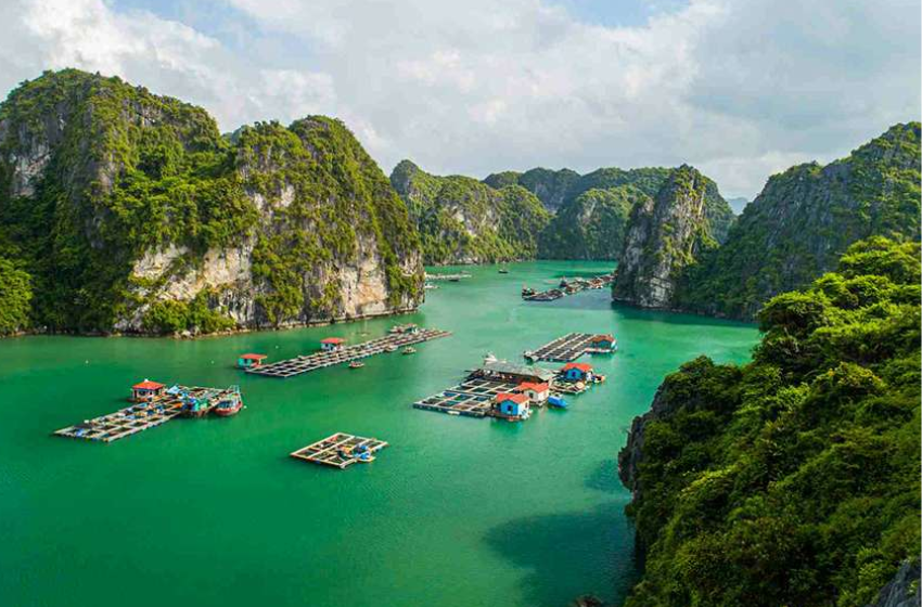 Halong Bay Day Tour 6 Hour Cruise