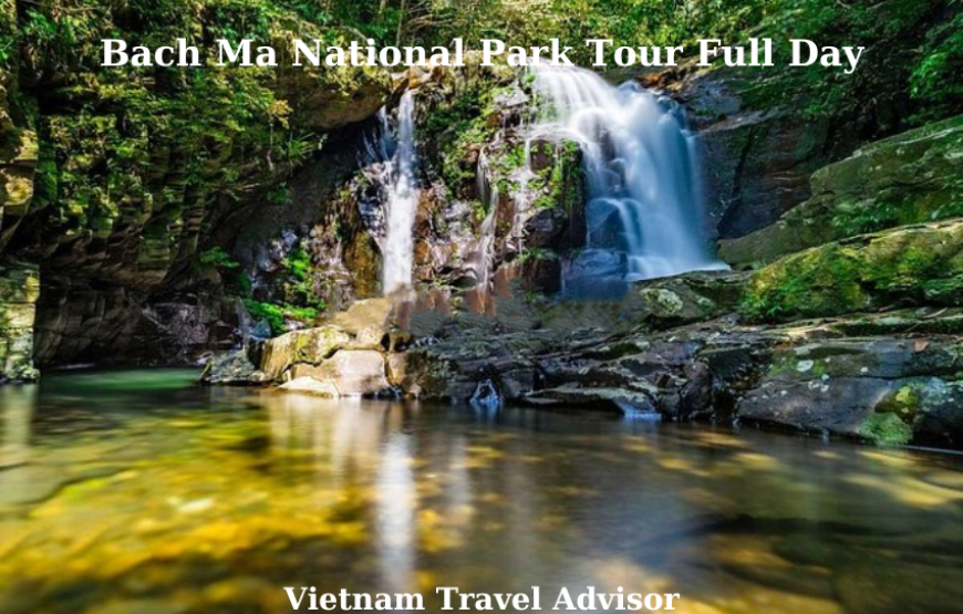 Bach Ma National Park Tour Full Day