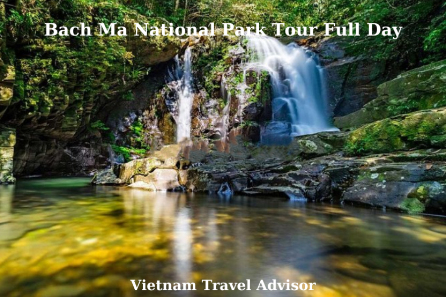 Bach Ma National Park Tour Full Day