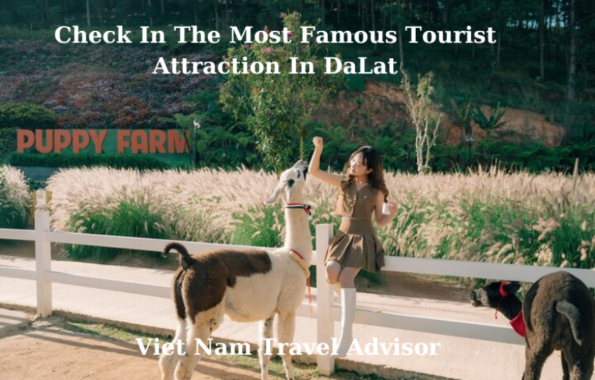 Check in The Most Famous Tourist Attraction in DaLat