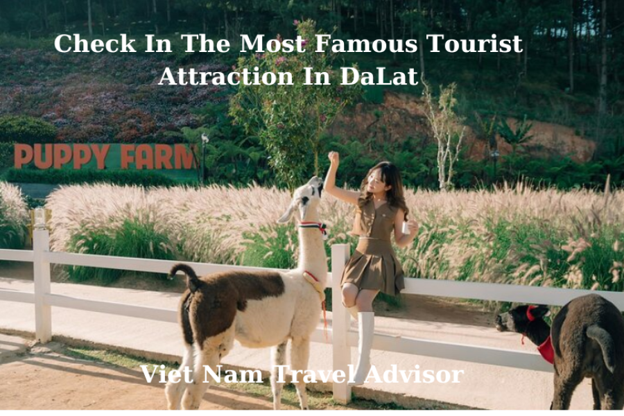 Check In The Most Famous Tourist Attraction In DaLat