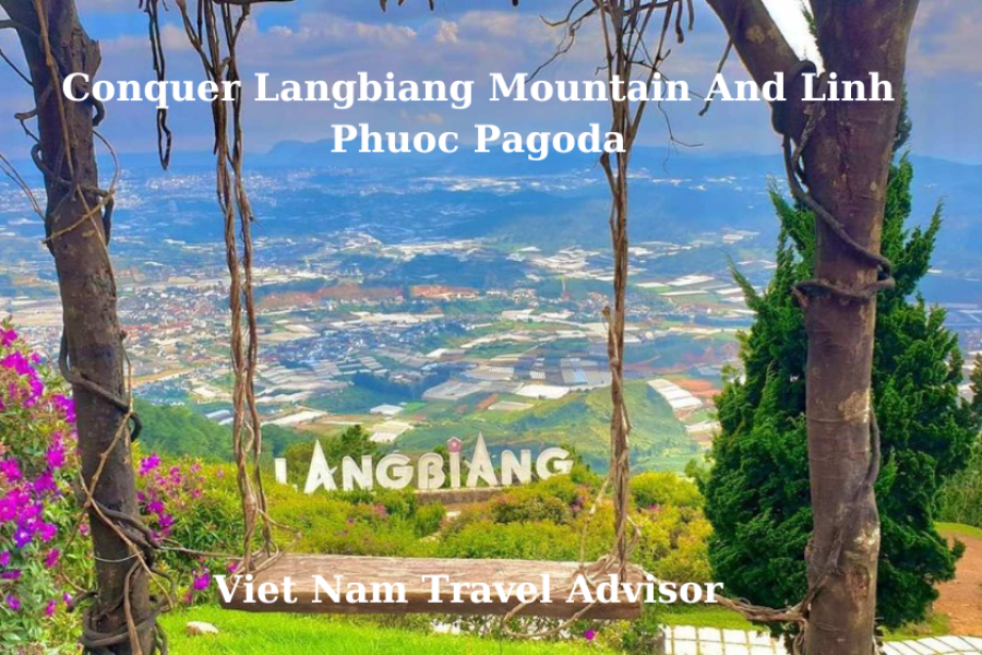 Conquer Langbiang Mountain And Linh Phuoc Pagoda