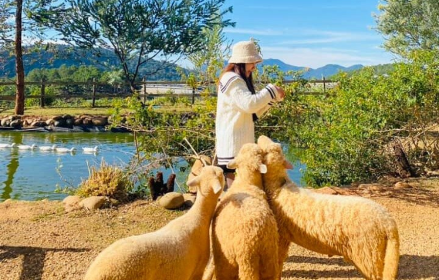 Dawn Cloud Hunting Tour in Da Lat