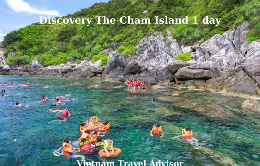 Discovery The Cham Island 1 day