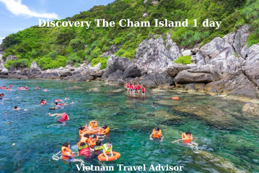 Discovery The Cham Island 1 Day