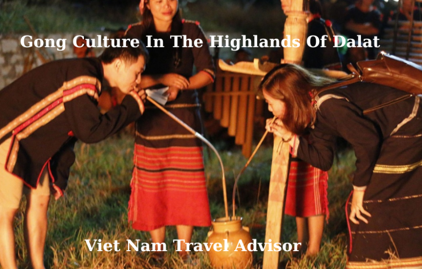 Gong Culture in the Highlands of Dalat