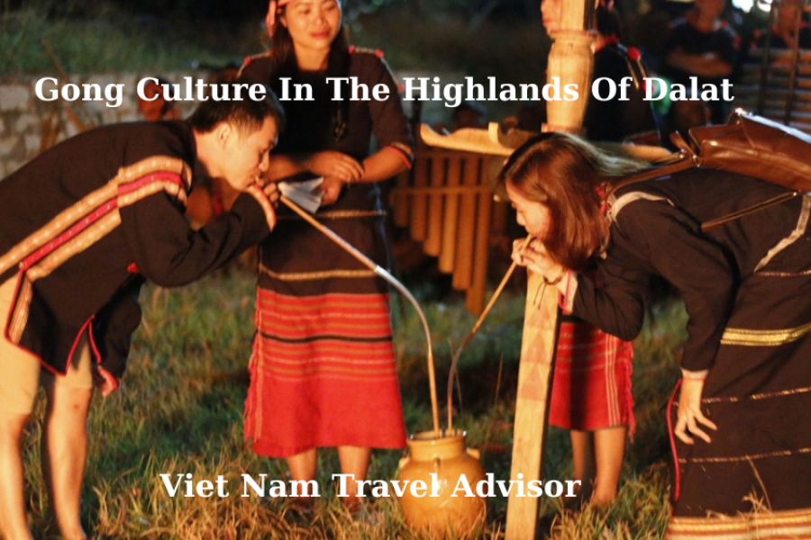 Gong Culture In The Highlands Of Dalat