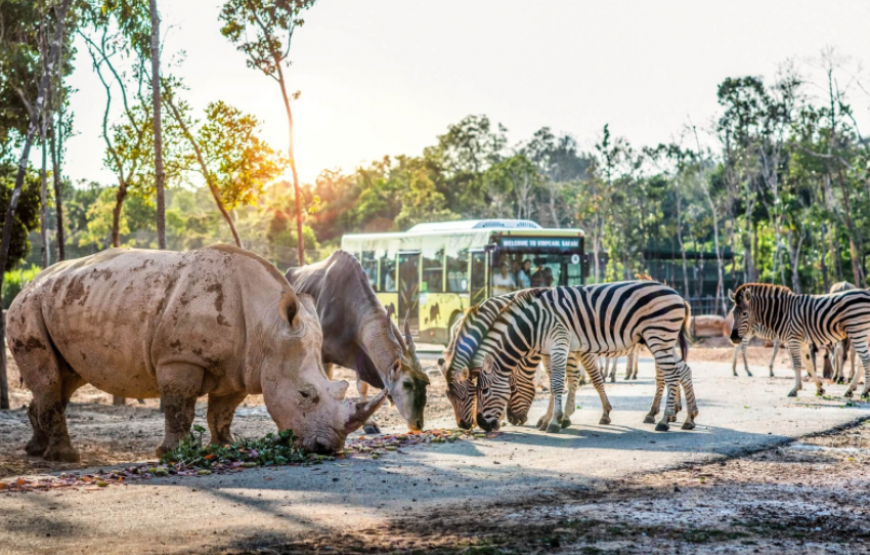 Cable Car and Aquatopia Water Park in Phu Quoc Island