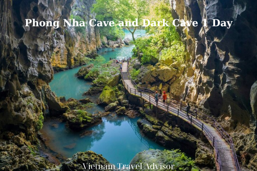 Phong Nha Cave And Dark Cave 1 Day